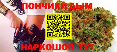 индика Заволжье