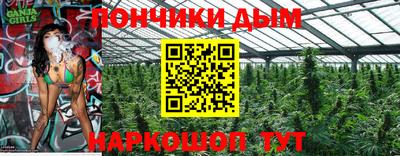 индика Заволжье