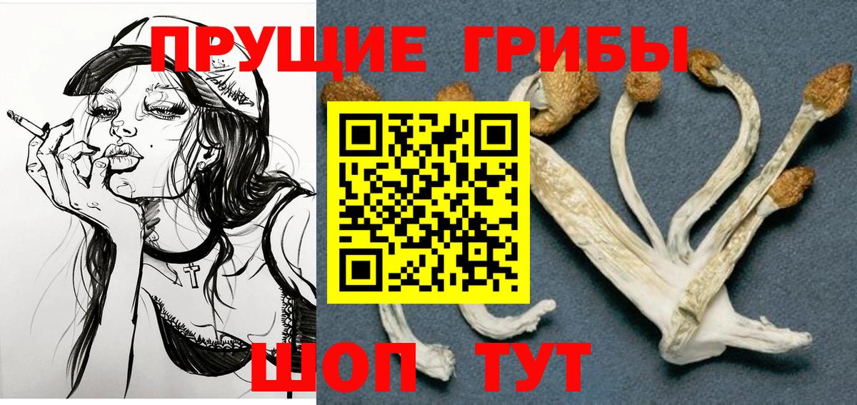 Галлюциногенные грибы прущие грибы  Галлюциногенные грибы мицелий  Вход с VPN  купить наркотик  Южноуральск 